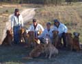Goldens and Friends